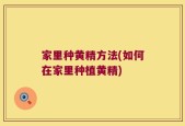 家里种黄精方法(如何在家里种植黄精)