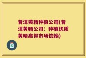 普洱黄精种植公司(普洱黄精公司：种植优质黄精赢得市场信赖)