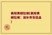 襄阳黄精牡蛎(襄阳黄精牡蛎：滋补养生佳品)