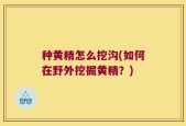种黄精怎么挖沟(如何在野外挖掘黄精？)