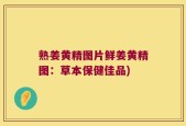 熟姜黄精图片鲜姜黄精图：草本保健佳品)