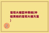 葡萄大棚套种黄精(种植黄精的葡萄大棚方案)