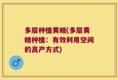 多层种植黄精(多层黄精种植：有效利用空间的高产方式)