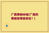 广西黄精叫啥(广西的黄精有哪些别名？)