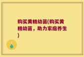 购买黄精幼苗(购买黄精幼苗，助力家庭养生)