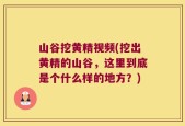 山谷挖黄精视频(挖出黄精的山谷，这里到底是个什么样的地方？)