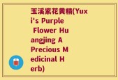 玉溪紫花黄精(Yuxi's Purple Flower Huangjing A Precious Medicinal Herb)