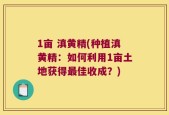 1亩 滇黄精(种植滇黄精：如何利用1亩土地获得最佳收成？)