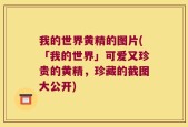 我的世界黄精的图片(「我的世界」可爱又珍贵的黄精，珍藏的截图大公开)