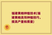 福建黄精种植技术(福建黄精高效种植技巧，提高产量和质量)