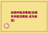 抚顺种植滇黄精(抚顺市种植滇黄精 成为新宠)