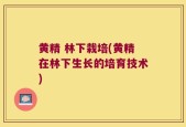 黄精 林下栽培(黄精在林下生长的培育技术)