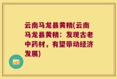 云南马龙县黄精(云南马龙县黄精：发现古老中药材，有望带动经济发展)