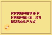 农村黄精种植项目(农村黄精种植计划：培育新型农业生产方式)