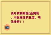 桑叶黄精葛根(桑黄葛，中医推荐的三宝，功效神奇！)