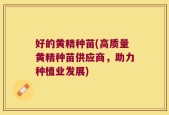 好的黄精种苗(高质量黄精种苗供应商，助力种植业发展)