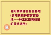 青阳黄精种苗育苗基地(青阳黄精种苗育苗基地——种出优质黄精苗的首选场所)