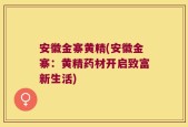 安徽金寨黄精(安徽金寨：黄精药材开启致富新生活)