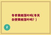 冬季黄精落叶吗(冬天会使黄精落叶吗？)