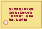 覆盆子黄精人参膏的功效(覆盆子黄精人参膏：提升免疫力、调节内分泌、延缓衰老)