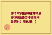 哪个时间段种植黄精最好(黄精最佳种植时间是何时？看这里！)