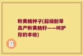 粉黄精种子(超级耐旱高产粉黄精籽——呵护你的丰收)