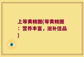 上等黄精图(等黄精图：营养丰富，滋补佳品)