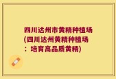 四川达州市黄精种植场(四川达州黄精种植场：培育高品质黄精)