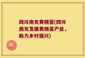 四川南充黄精苗(四川南充发展黄精苗产业，助力乡村振兴)