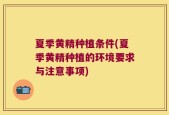 夏季黄精种植条件(夏季黄精种植的环境要求与注意事项)