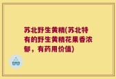 苏北野生黄精(苏北特有的野生黄精花果香浓郁，有药用价值)