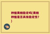 种植黄精稳定吗(黄精种植是否具有稳定性？)