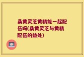 桑黄灵芝黄精能一起配伍吗(桑黄灵芝与黄精配伍的益处)