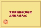 正品黄精种植(黄精正品种植方法大全)