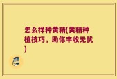 怎么样种黄精(黄精种植技巧，助你丰收无忧)
