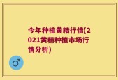 今年种植黄精行情(2021黄精种植市场行情分析)