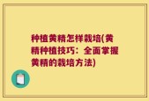 种植黄精怎样栽培(黄精种植技巧：全面掌握黄精的栽培方法)