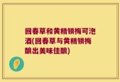 回春草和黄精锁梅可泡酒(回春草与黄精锁梅酿出美味佳酿)