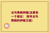 义马黄精种植(这里有一个建议： 探寻义马黄精的种植之道)