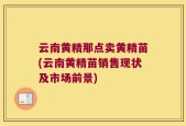 云南黄精那点卖黄精苗(云南黄精苗销售现状及市场前景)