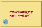 广东林下种黄精(广东黄精林下种植技术)