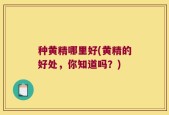 种黄精哪里好(黄精的好处，你知道吗？)