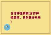 合作种植黄精(合作种植黄精，共创美好未来)