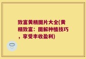 致富黄精图片大全(黄精致富：图解种植技巧，享受丰收盈利)