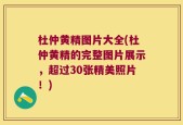 杜仲黄精图片大全(杜仲黄精的完整图片展示，超过30张精美照片！)