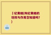 枹杞黄精(枸杞黄精的功效与作用您知道吗？)