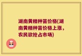 湖南黄精种苗价格(湖南黄精种苗价格上涨，农民欲抢占市场)
