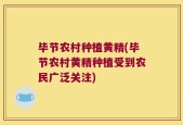 毕节农村种植黄精(毕节农村黄精种植受到农民广泛关注)