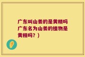 广东叫山姜的是黄精吗广东名为山姜的植物是黄精吗？)