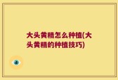 大头黄精怎么种植(大头黄精的种植技巧)